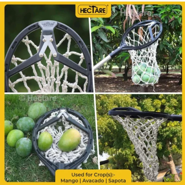 Mango Picker With Adjustable Pole - Image 4